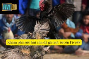 Đá Gà Trực Tuyến Five88 – Cá Cược Sôi Động 24/7