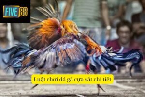Đá Gà Cựa Sắt – Tìm Hiểu Luật Chơi Và Cách Cá Cược